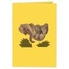 Papercrush pop-up kaart olifanten voorkant