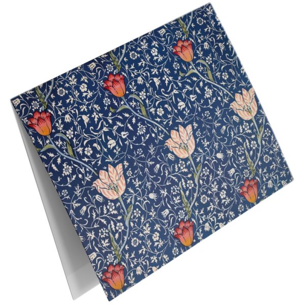 Studio Colori wenskaartenset Botanische prints donkerblauw