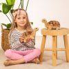 901143 Hermann Teddy Collection knuffel schildpad sfeerfoto op kruk