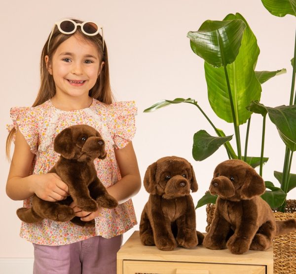 919582 Hermann Teddy Collection Labrador zittend sfeerfoto