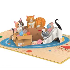 Papercrush pop-up kaart katten