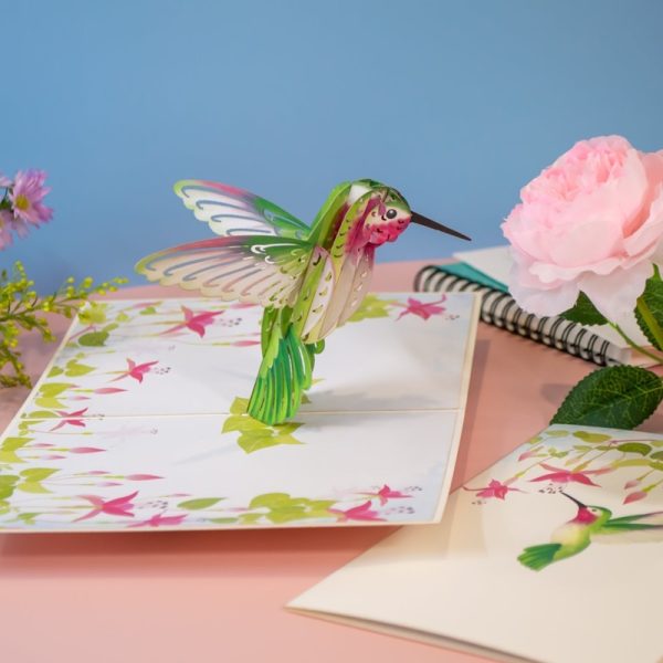 Papercrush pop-up kaart kolibri sfeerfoto zijkant