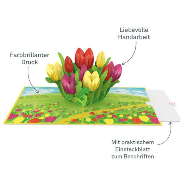 Papercrush pop-up kaart tulpenweide binnenkant