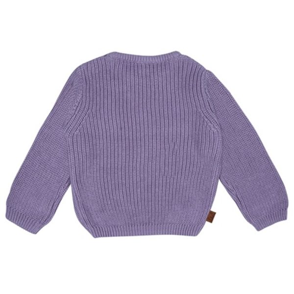 24083005 Frogs and Dogs sweater gebreid rib blue mauve smart club achterkant