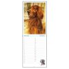 Rien Poortvliet verjaardagskalender braaf januari